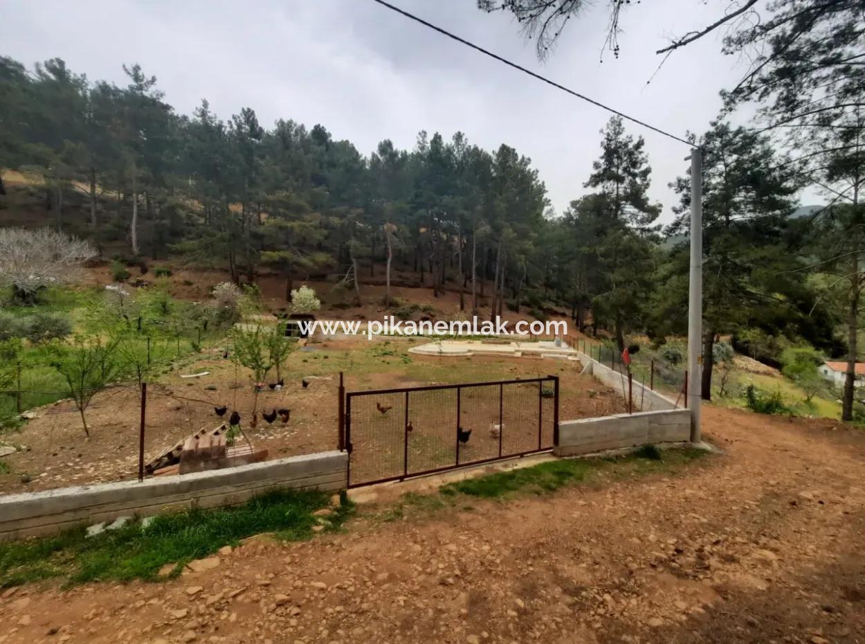 Köyceğinz Agla Yayla Opportunity 1050 M2 Zoning Land For Sale
