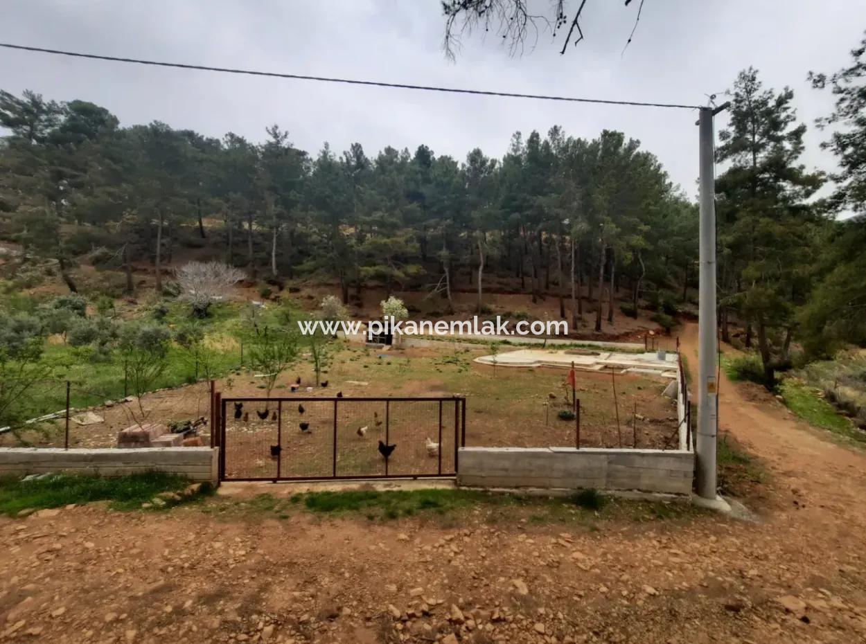 Köyceğinz Agla Yayla Opportunity 1050 M2 Zoning Land For Sale