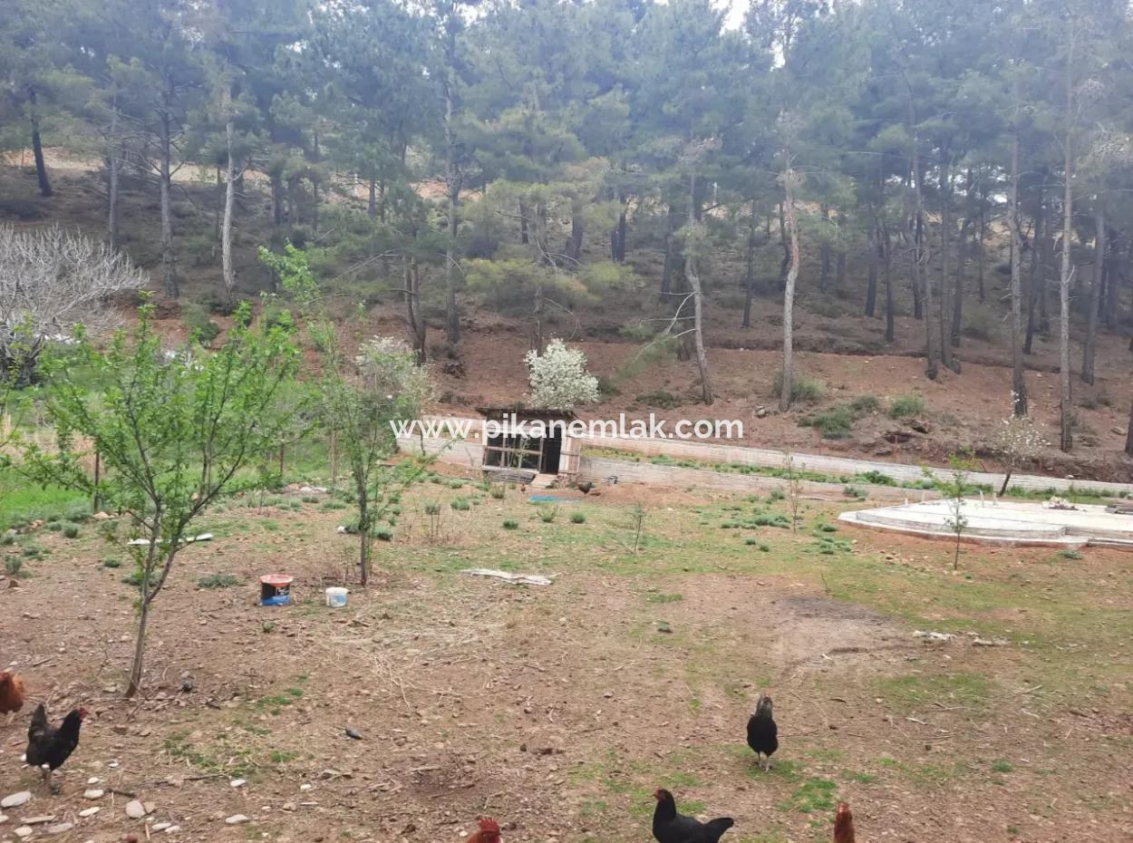 Köyceğinz Agla Yayla Opportunity 1050 M2 Zoning Land For Sale