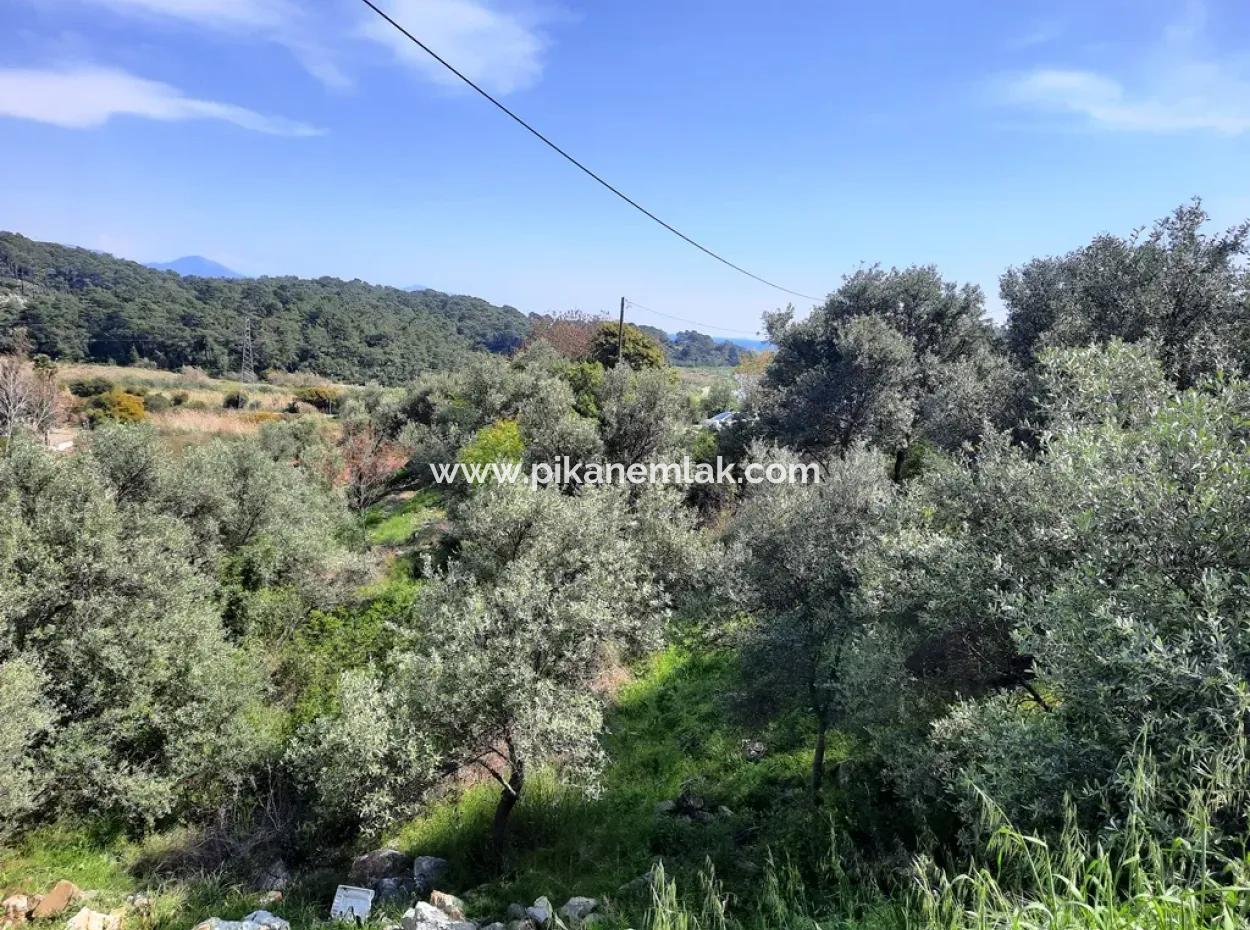 2 Parcels Of Land With 768 M2 Residential Development For Sale In Ortaca Sarıgerme