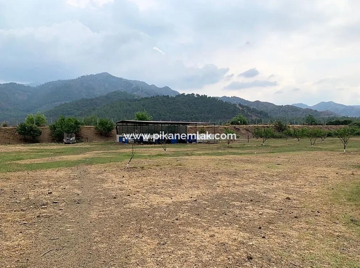 Tea Edge 10345 M2 Land And Detached House For Sale In Ortaca Çaylı Pine Forest