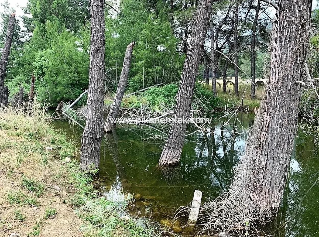 Tea Edge 10345 M2 Land And Detached House For Sale In Ortaca Çaylı Pine Forest