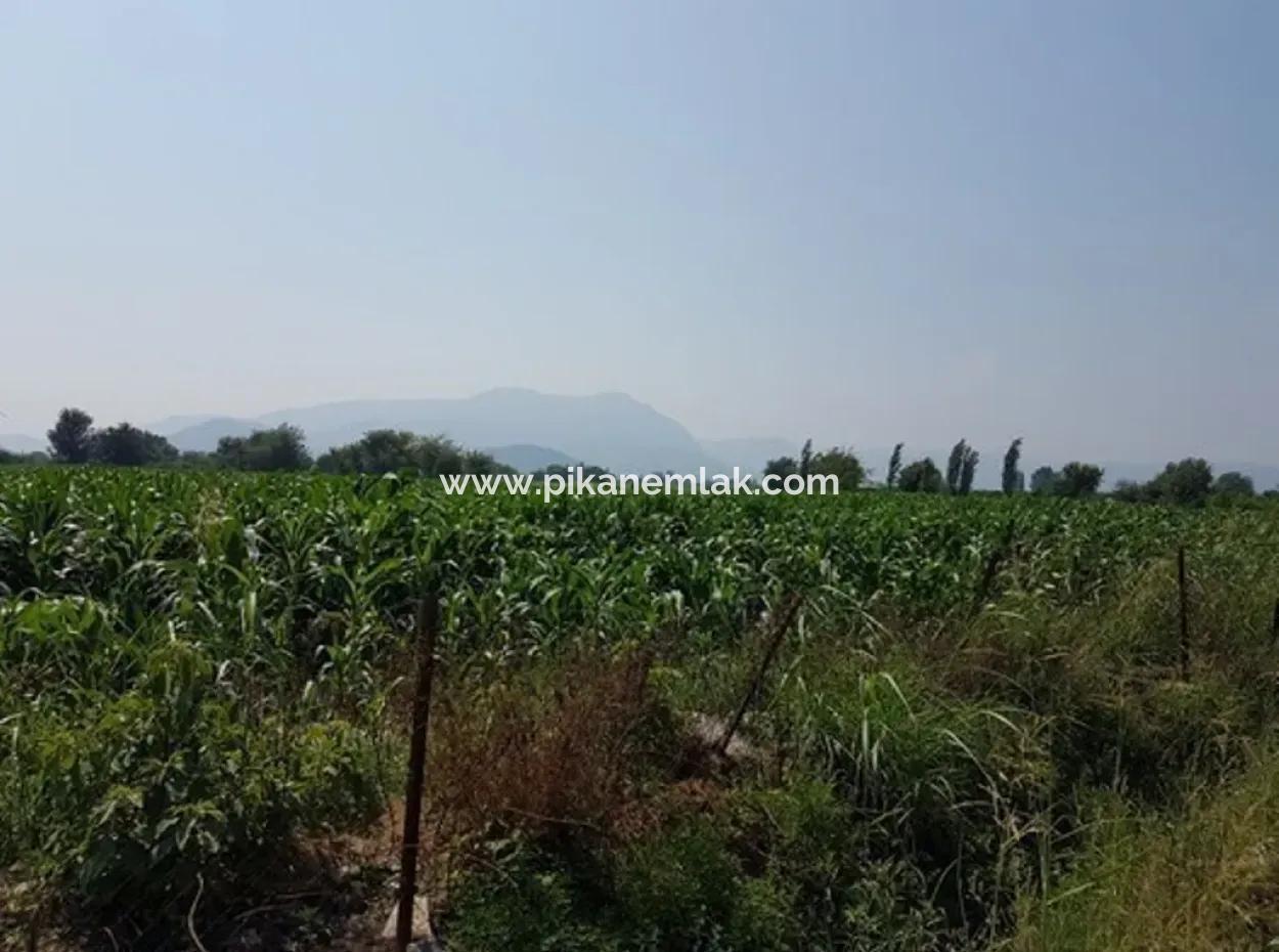 Detached 15000 M2 Fertile Land For Sale In Mugla Ortaca Archers