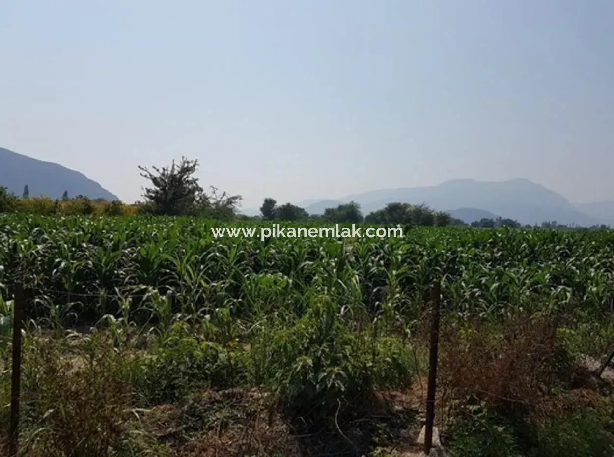 Detached 15000 M2 Fertile Land For Sale In Mugla Ortaca Archers