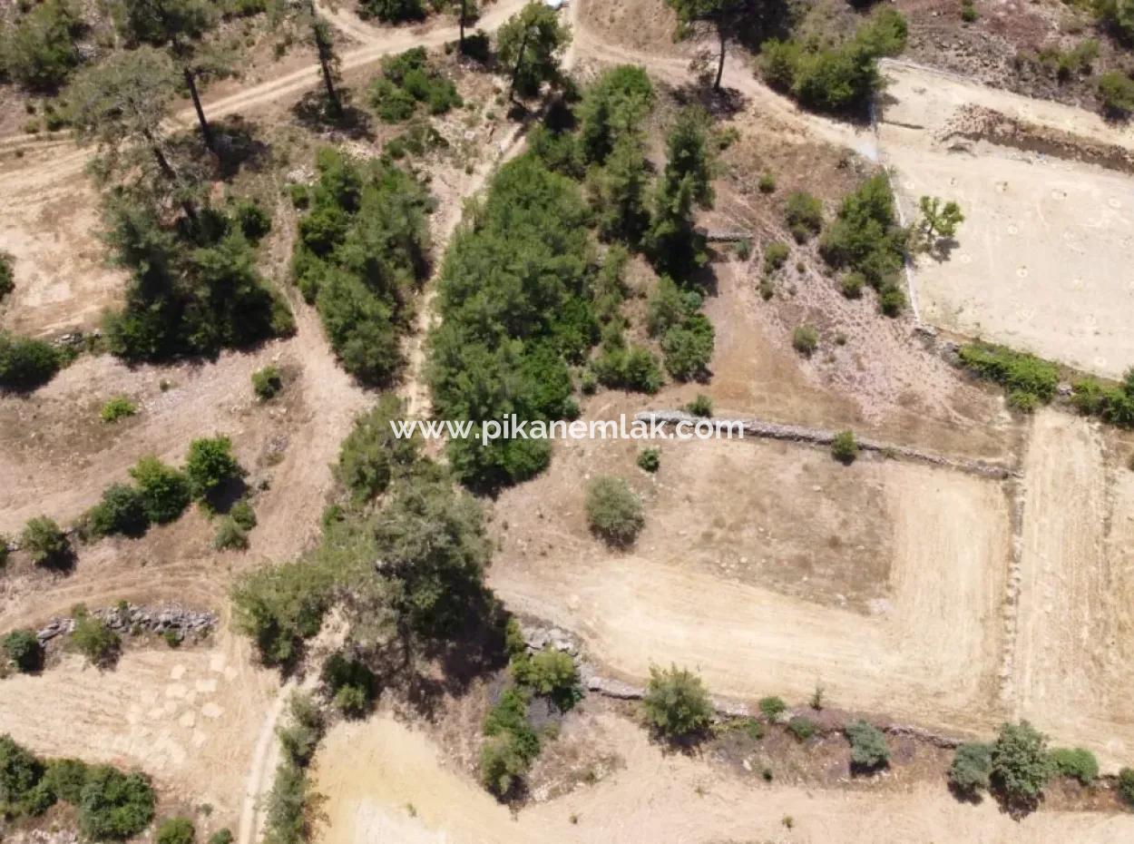3031 M2 Detached Field For Sale In Mugla Menteşe Denizova