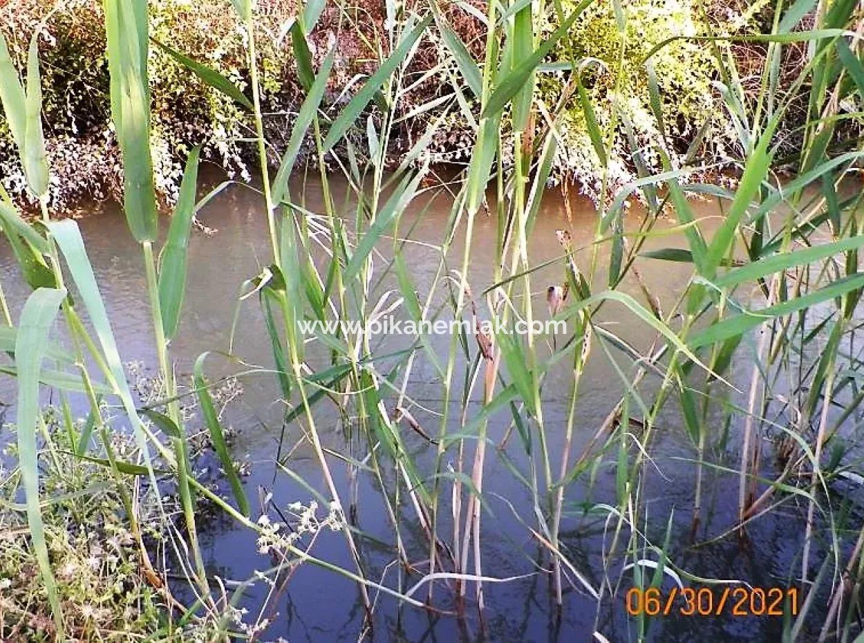 10 000 M2 Fertile Land For Sale In Mugla Ortaca Mergenli