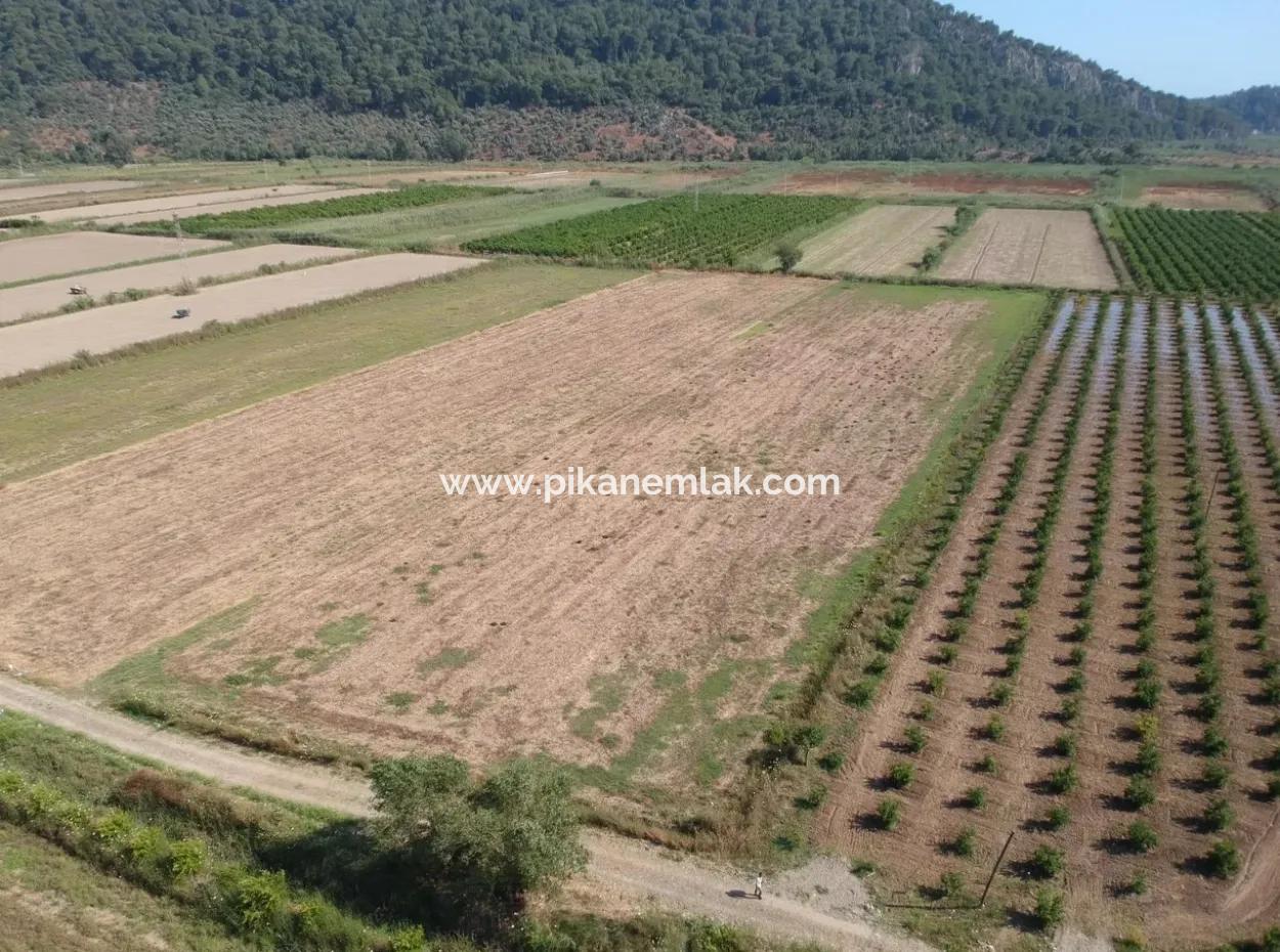 For Sale Land Guzelyurt Ta Oriya, Bargain 9726 M2