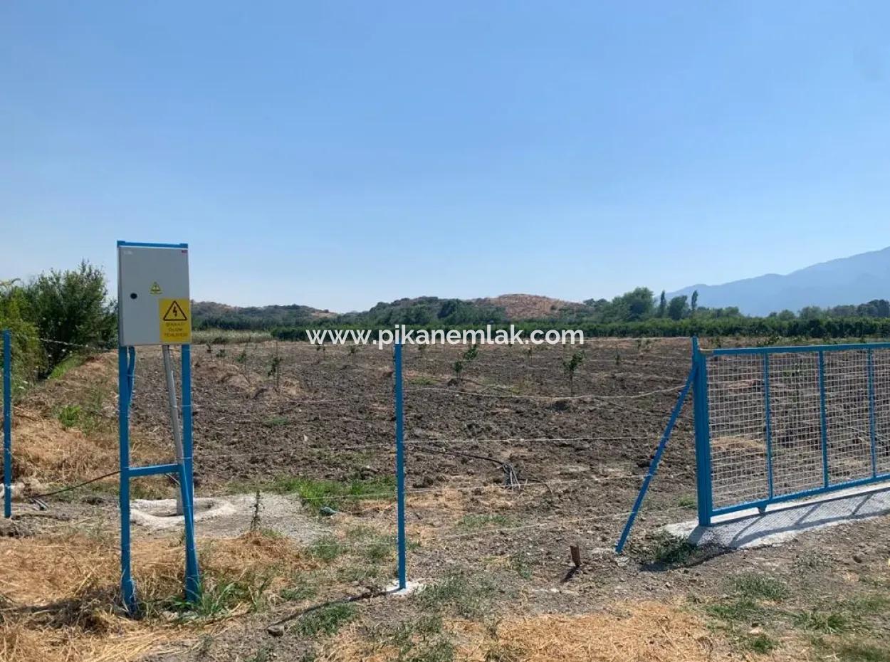 7300 M2 Lemon Field For Sale In Mugla Ortaca Tepearasi