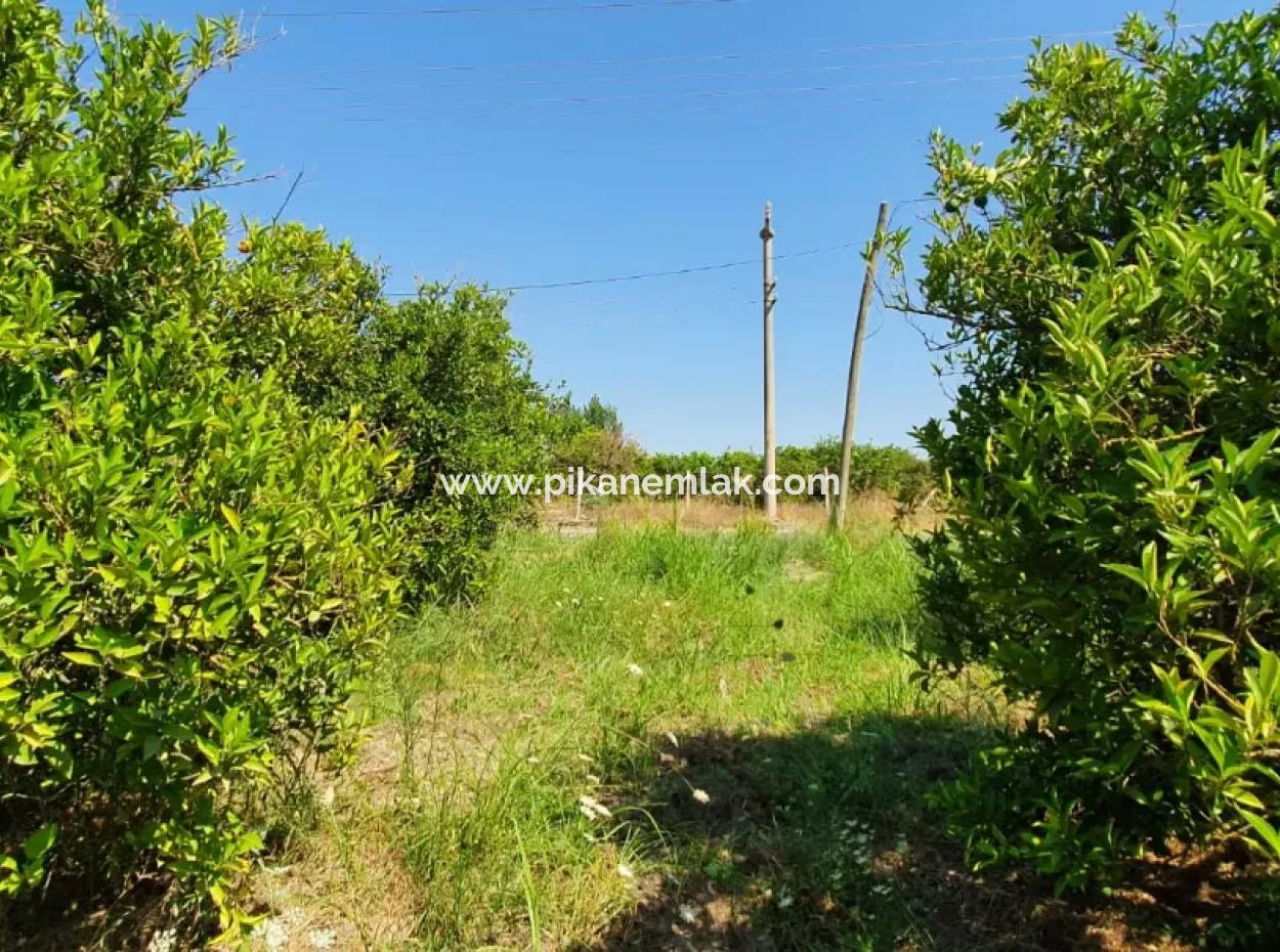 1063 M2 Zoning Land For Sale In Mugla Ortaca Dikmekavak Neighborhood