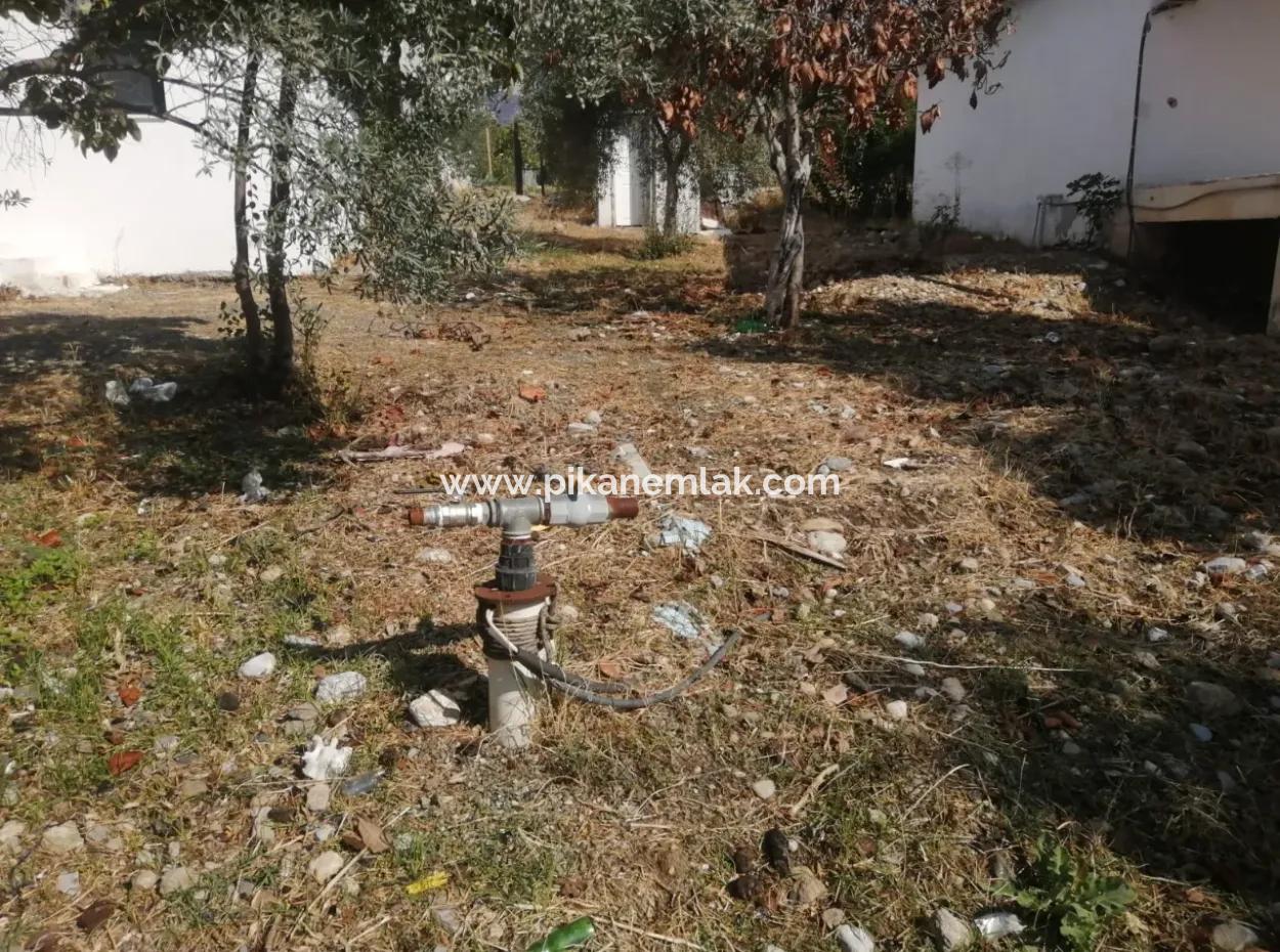 2 Detached Houses For Sale In 1992 M2 Plot Overlooking The Lake In Köyceğiz Zeytinalanı