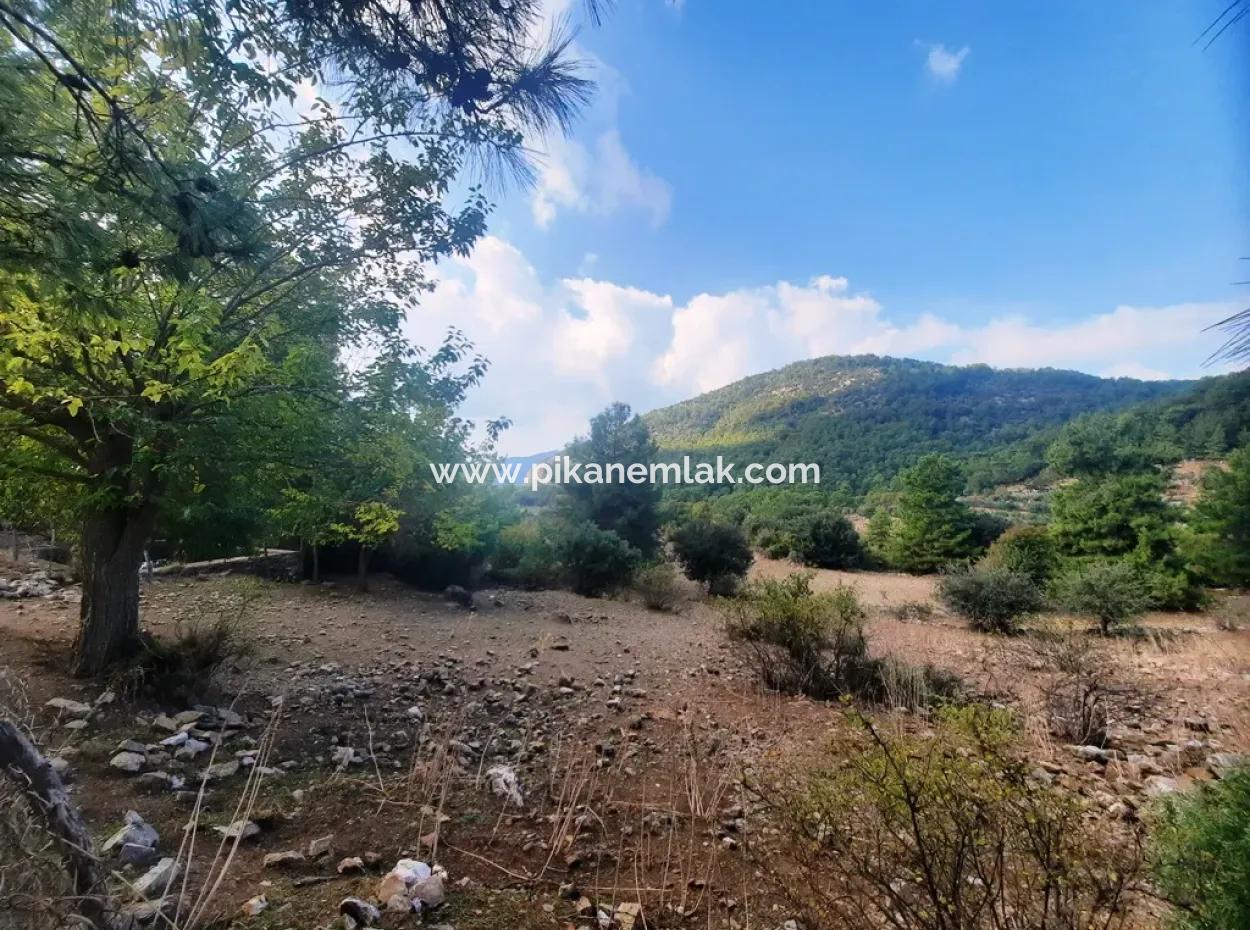 Mugla Dalyan Gökbel 320 M2 Bargain Land For Sale