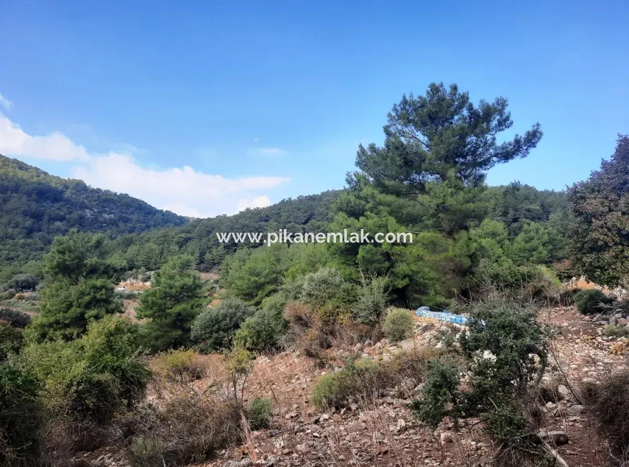 Mugla Dalyan Gökbel 320 M2 Bargain Land For Sale