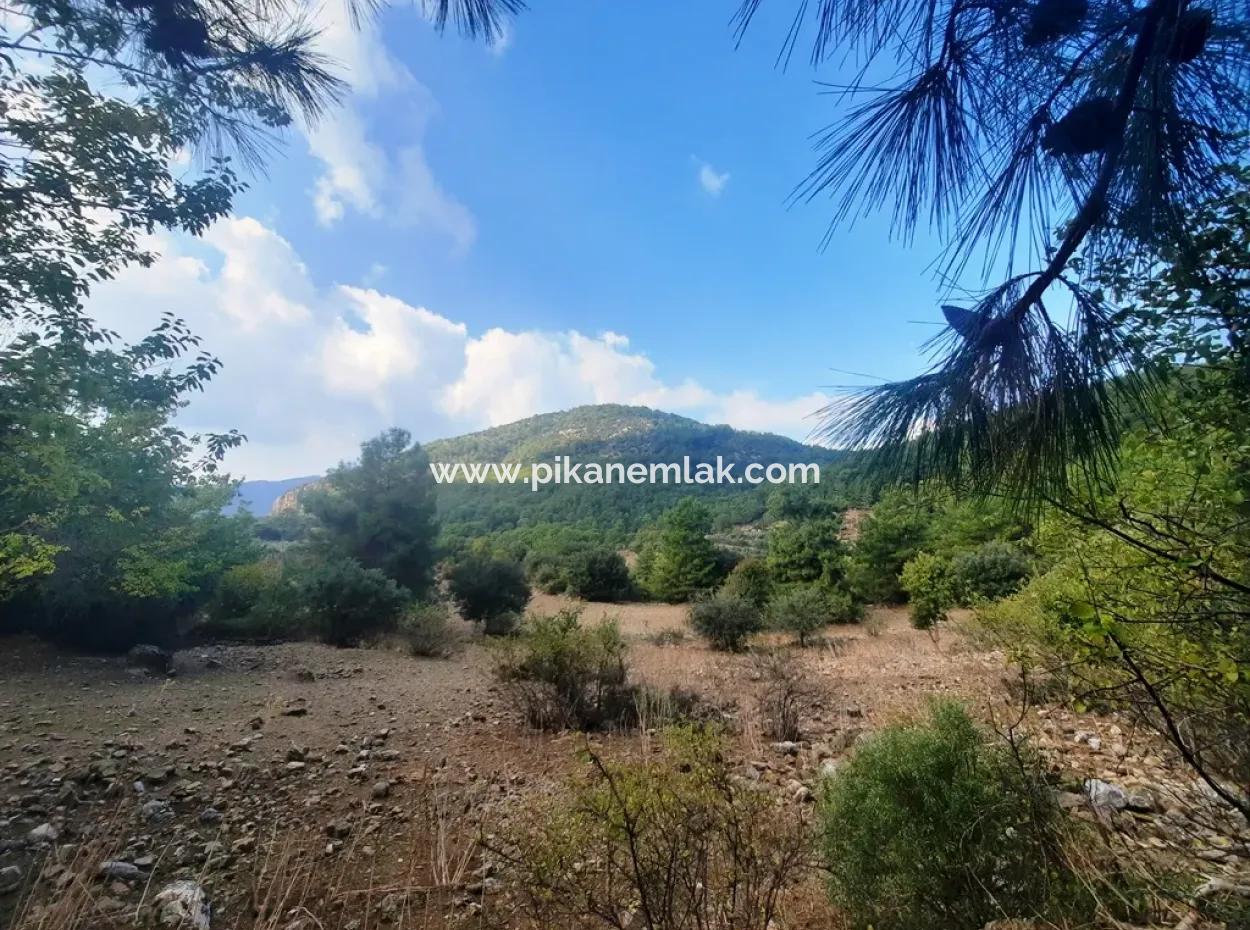Mugla Dalyan Gökbel 320 M2 Bargain Land For Sale