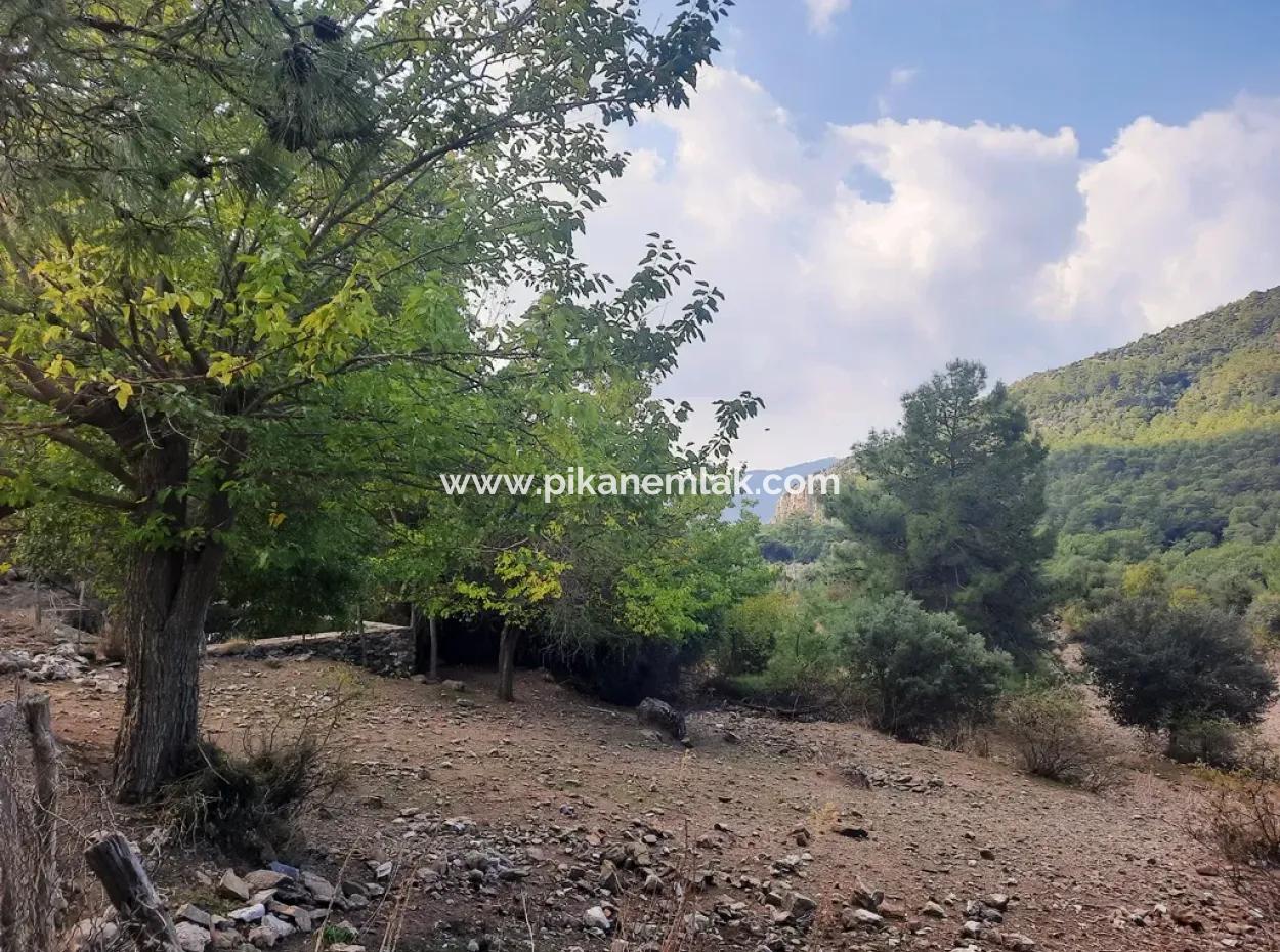 Mugla Dalyan Gökbel 320 M2 Bargain Land For Sale