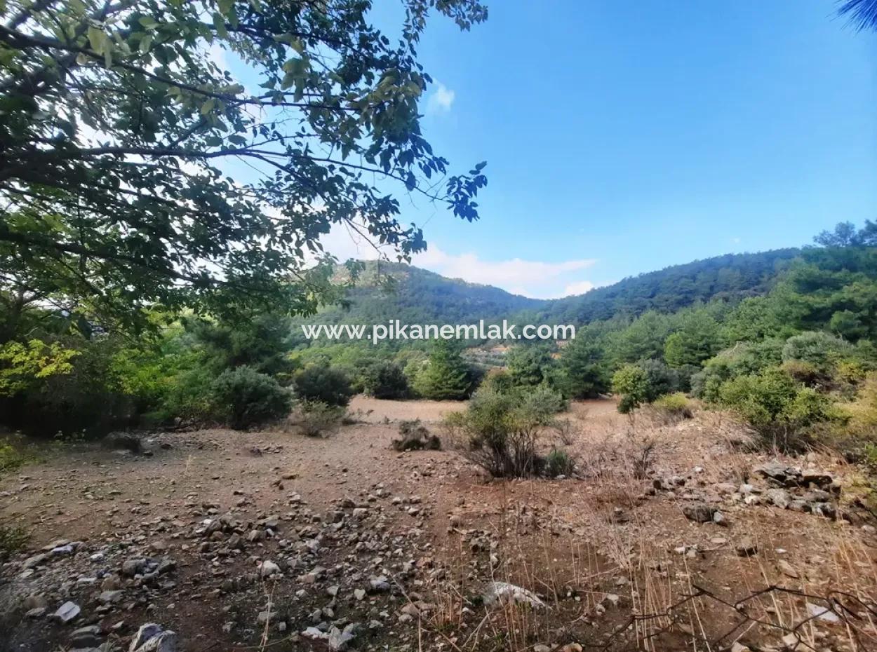 Mugla Dalyan Gökbel 320 M2 Bargain Land For Sale