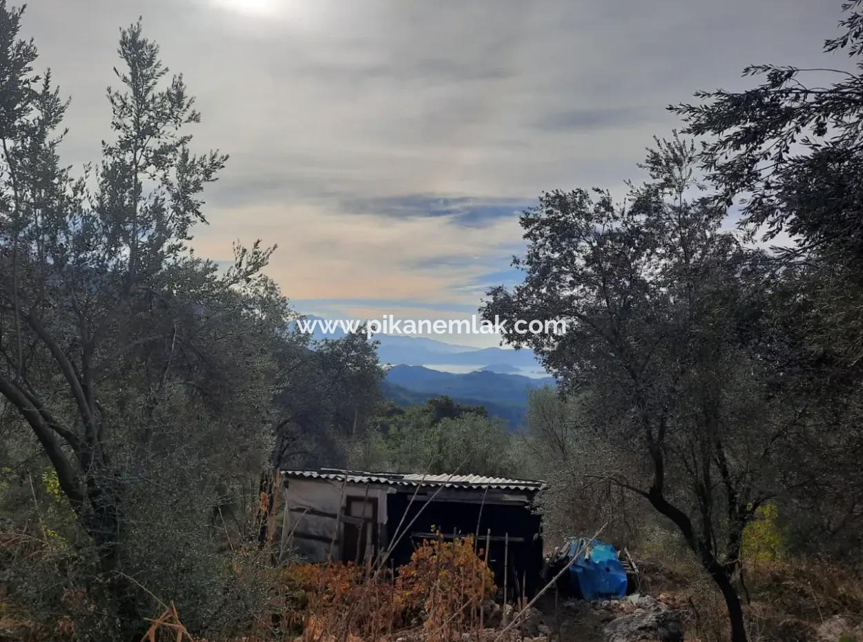 11,650M2 Detached Land With Sea View And 1 1 House For Sale In Gocek Gökçeovacik