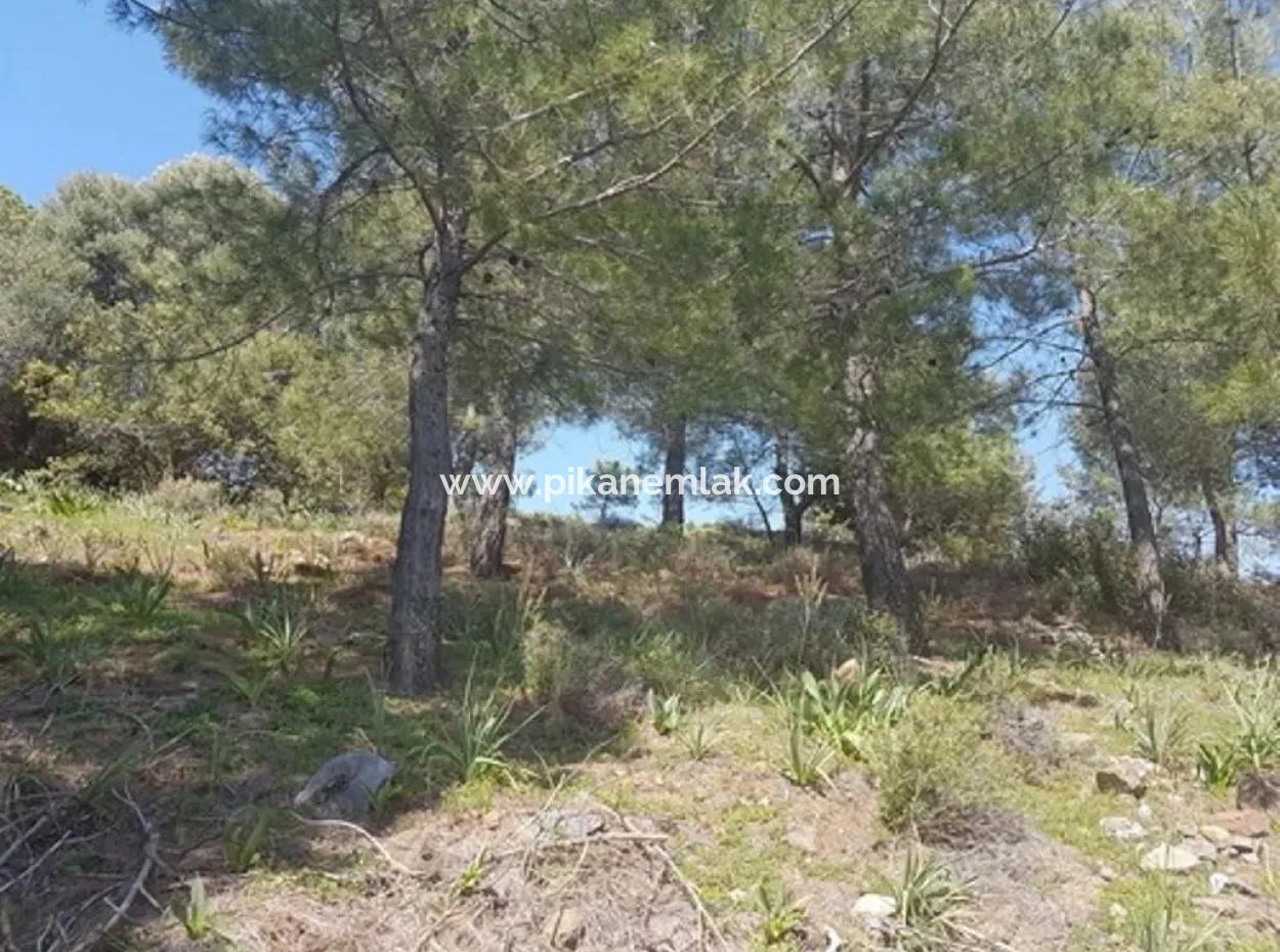 Plot With Sea Views For Sale Bargain Ortaca Sarıgerme