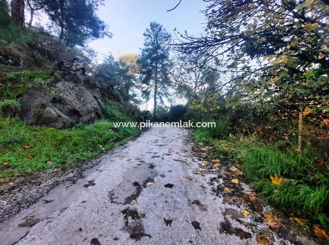 7320 M2 Bargain Lemon Garden For Sale In Ortaca Kemaliye