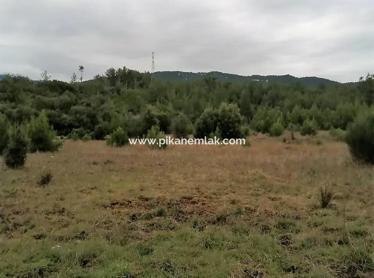 30949 M2 Fertile Field For Sale In Mugla Dalaman Gürleyik