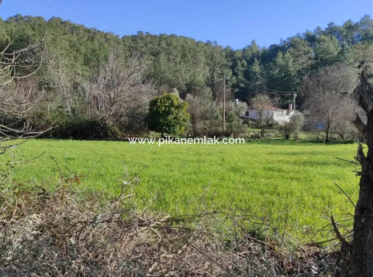 Mugla Ula Karabörtlen 2956 M2 Detached Land For Sale