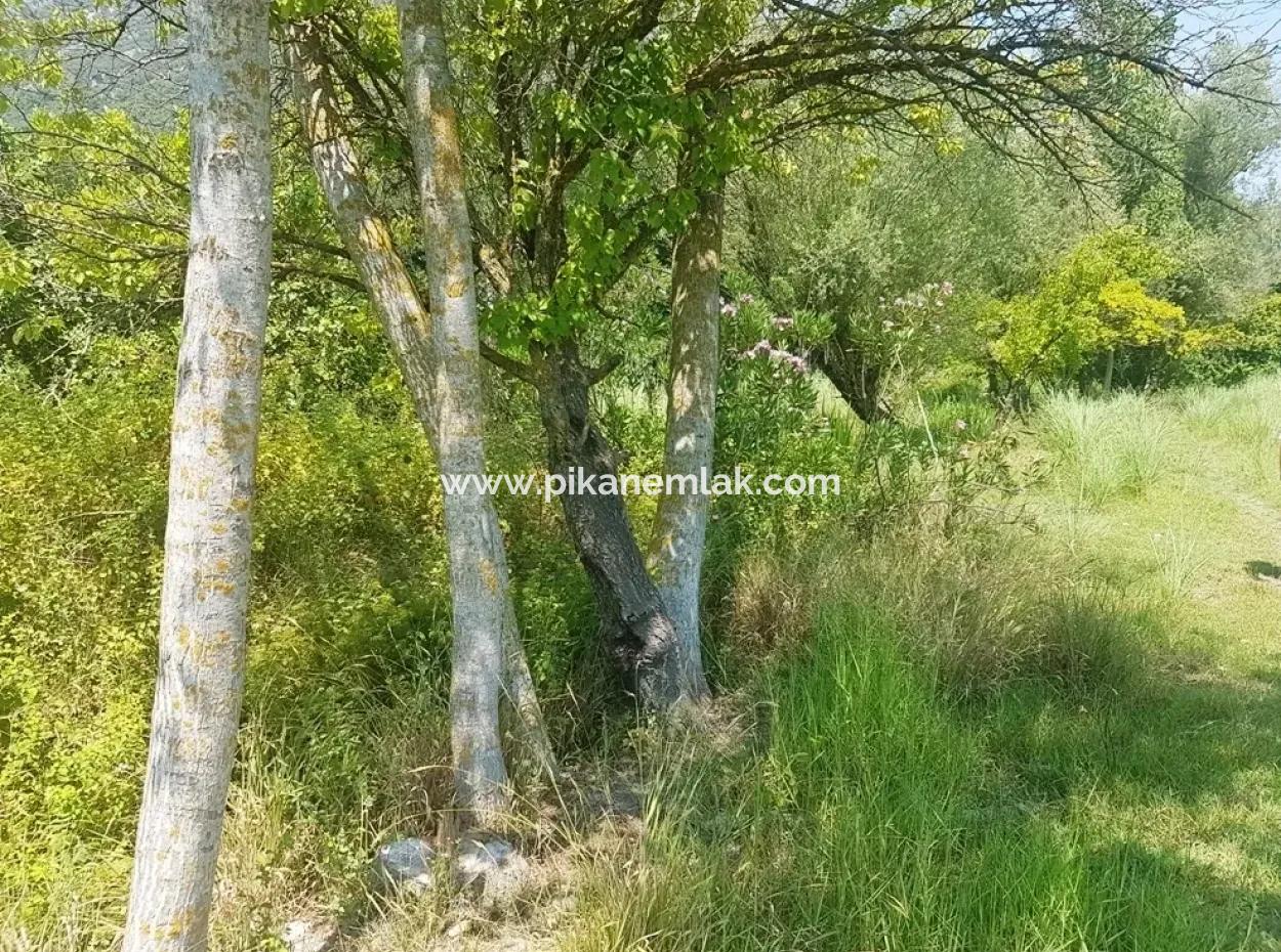 3700 M2 Land For Sale In Koycegiz