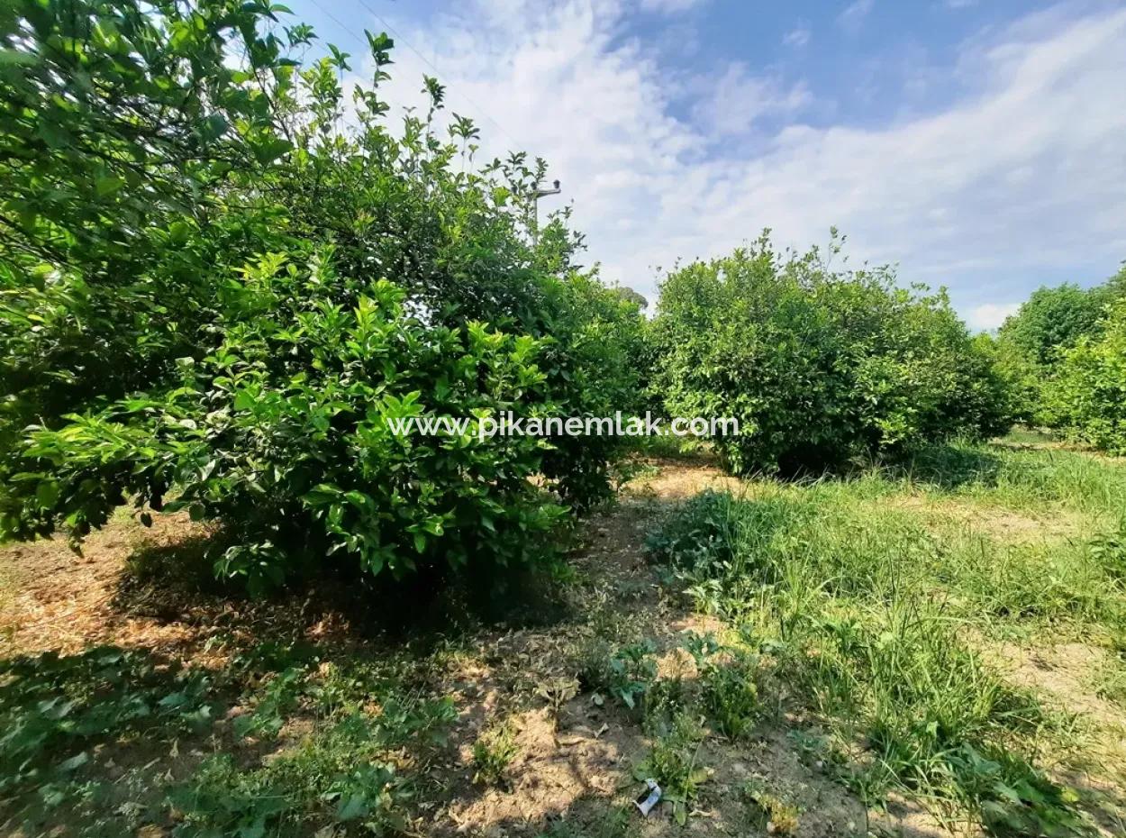 Village House For Sale In Ortaca Akıncıda On A Land Of 2500 M2