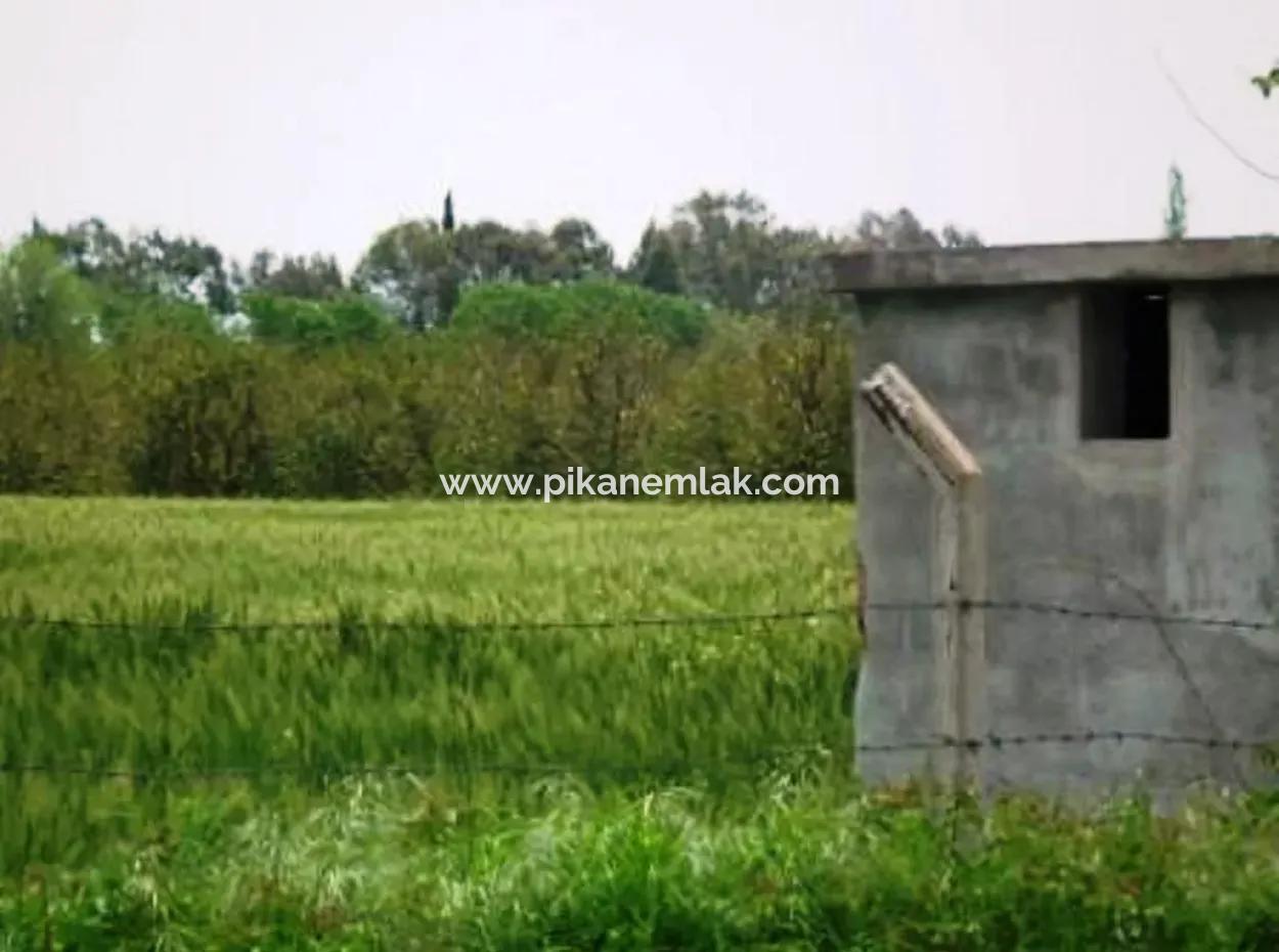 8 000 M2 Fertile Land For Sale In Muğla Ortaca Fevziye