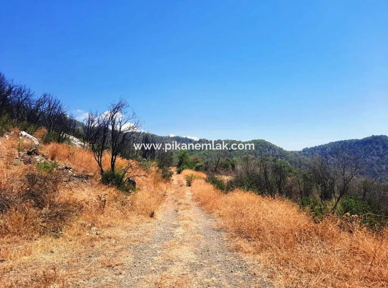 Muğla Dalaman 42.432M2 Detached Land With Title Deed For Sale
