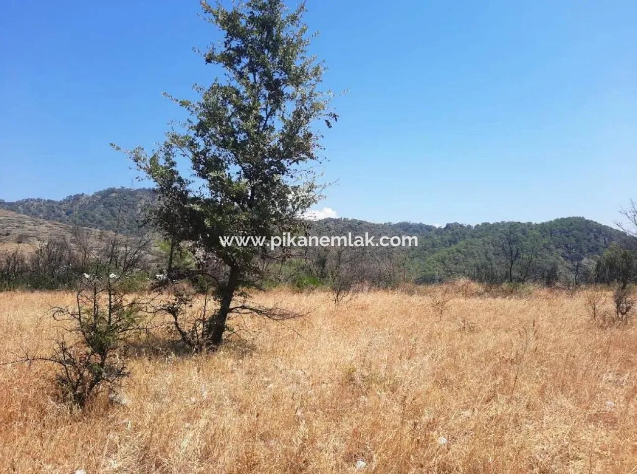 Muğla Dalaman 42.432M2 Detached Land With Title Deed For Sale