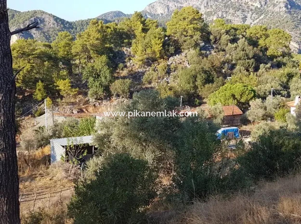2 500 M2 Detached Bargain Land In Ortaca Gökbel For Sale