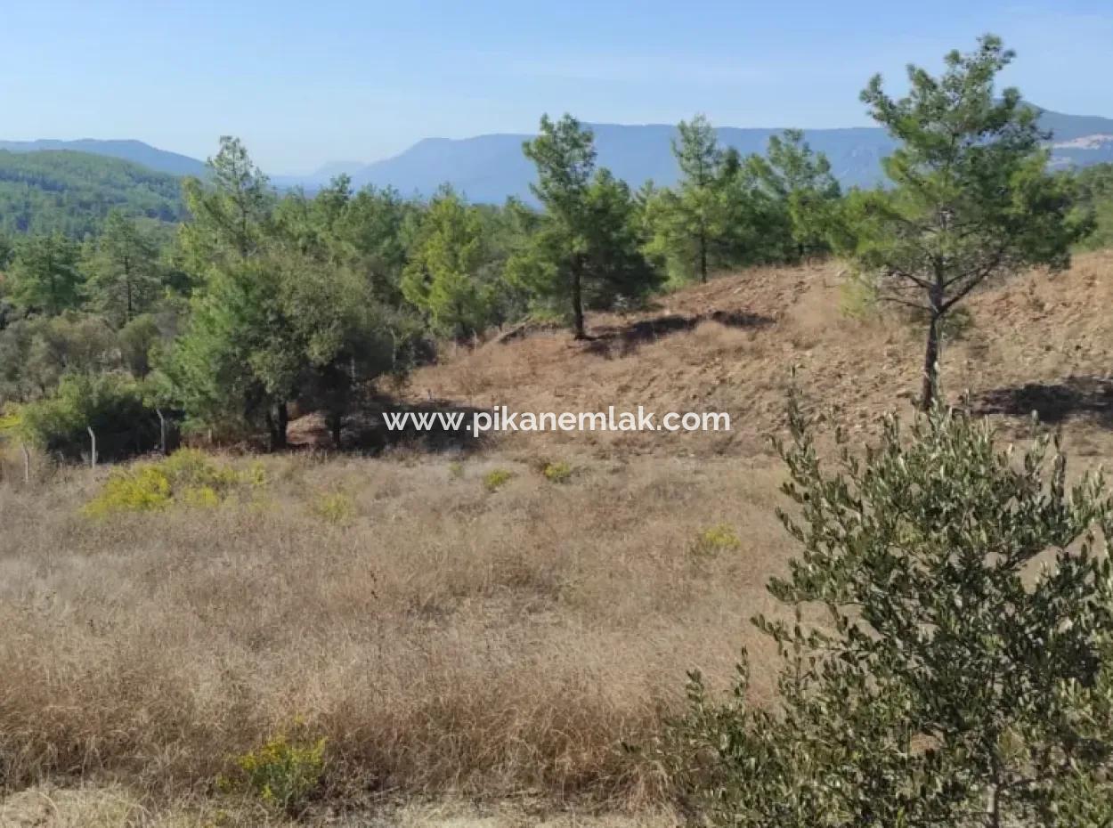 Ula Esentepede 4 200 M2 Sea View Land For Sale