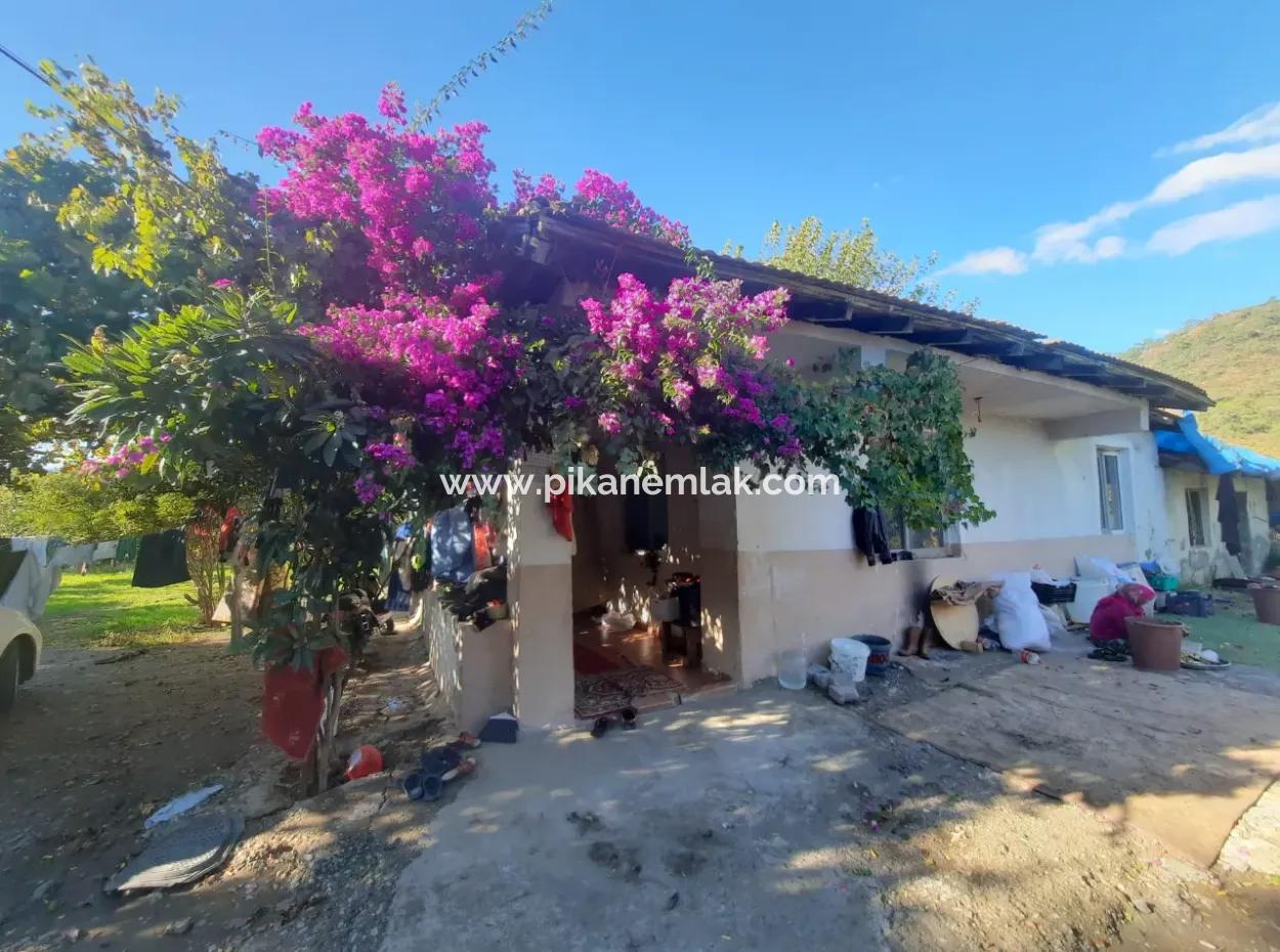 Ortaca Ekşiliyurt Suitable For Investment 11 850 M2 Lemon Garden And 4 Buildings For Sale