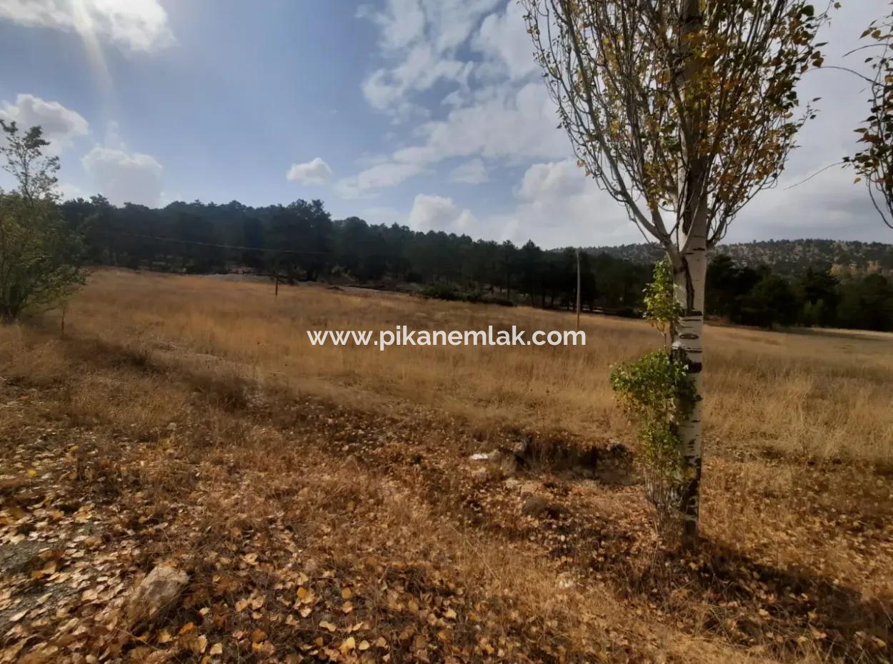 6 230 M2 Detached Land For Sale Or Exchange On The Old Acıpayam Road In Çameli Cumanda