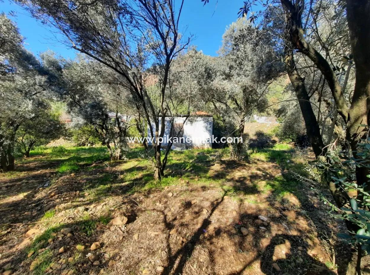 Köyceğiz Toparlarda 4 200 M2 Land Single Storey Detached House For Sale