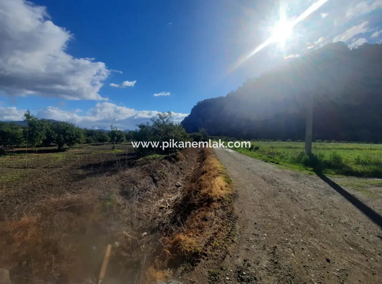 20.000 M2 In Muğla Ortaca Okçular Marmarlı, Land For Sale In The Zoning Plan