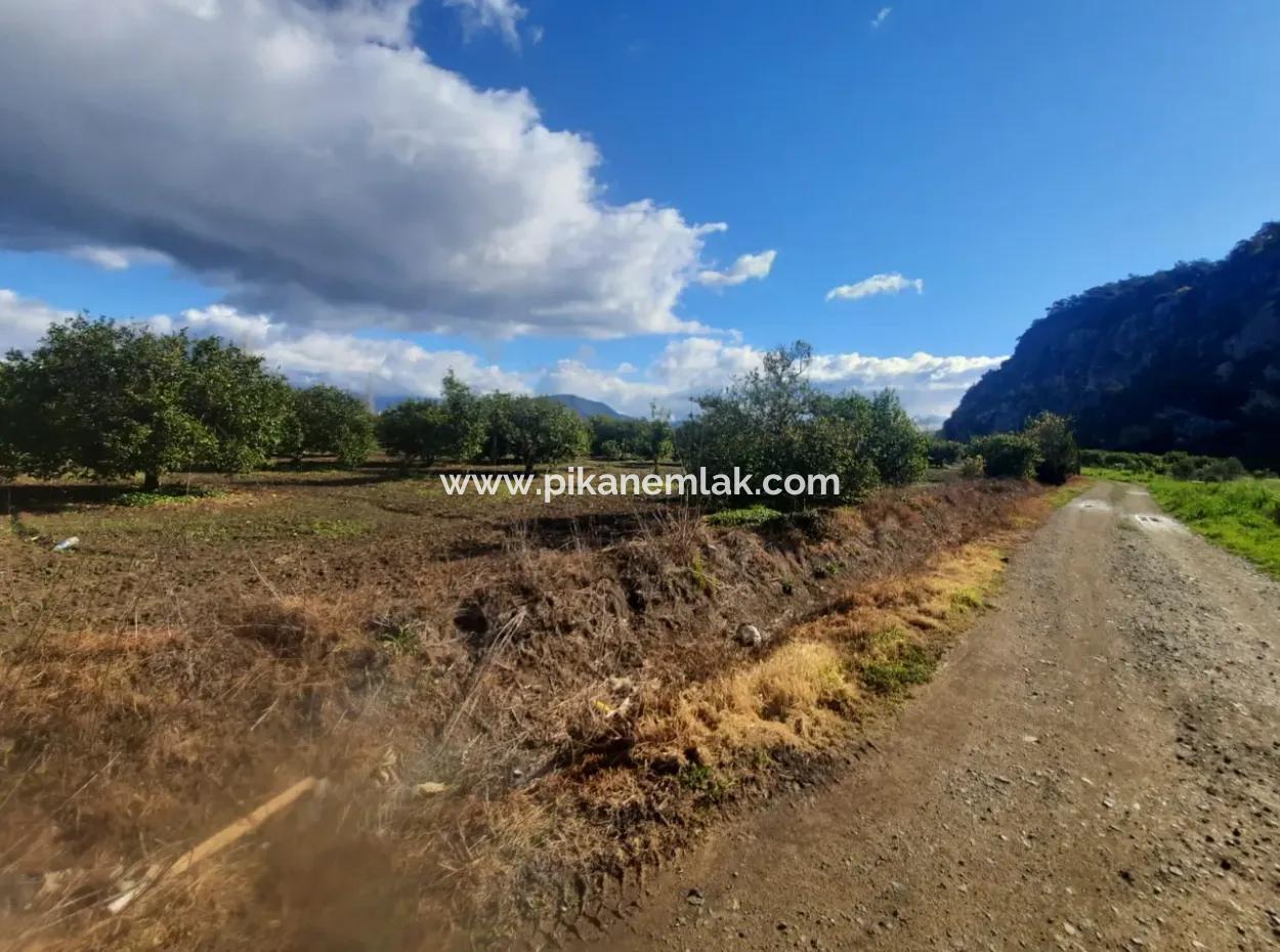 20.000 M2 In Muğla Ortaca Okçular Marmarlı, Land For Sale In The Zoning Plan