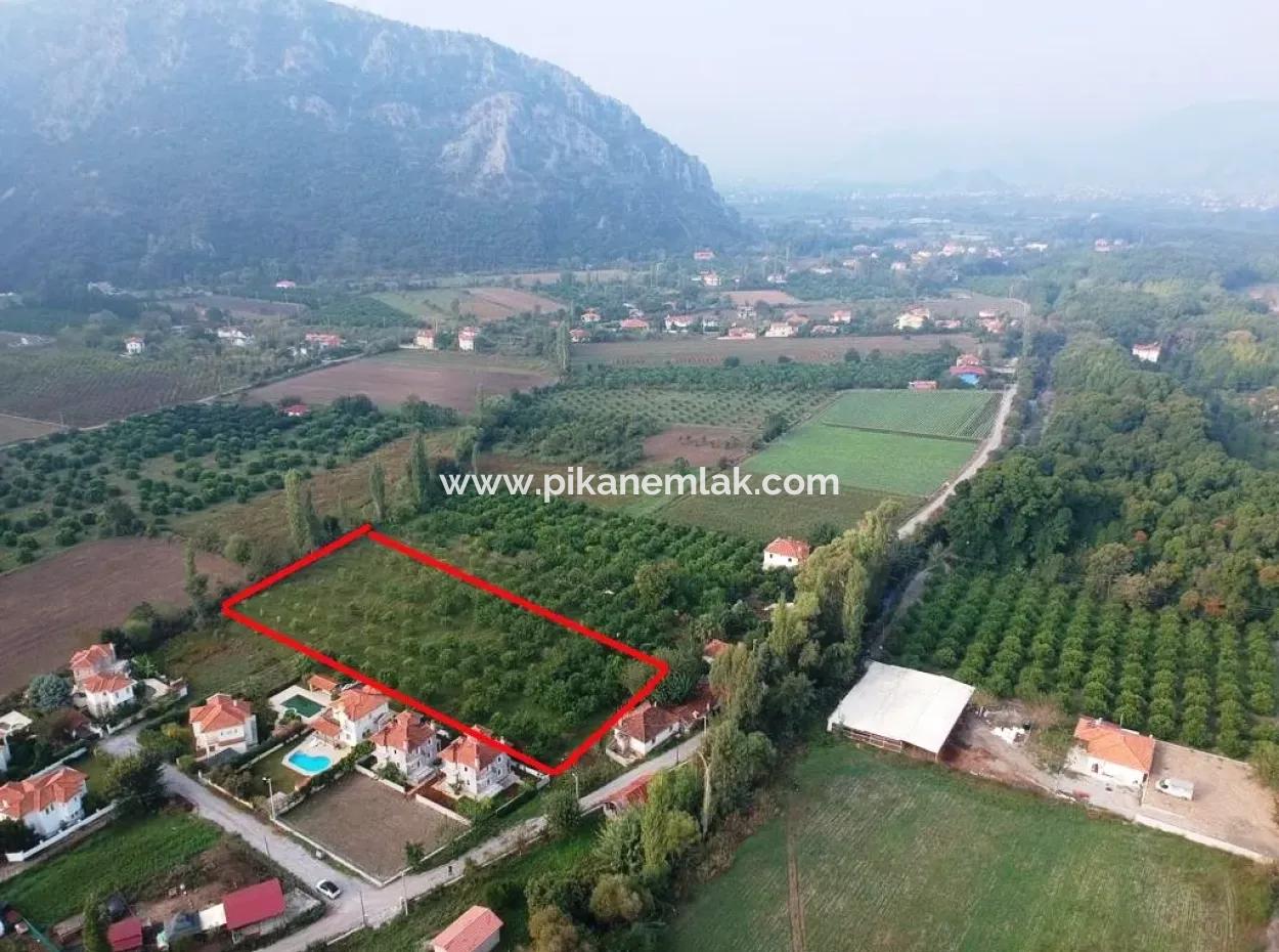 Muğla Ortaca Marmarlıda 4.000 M2 Lemon Garden 5 Years Rental