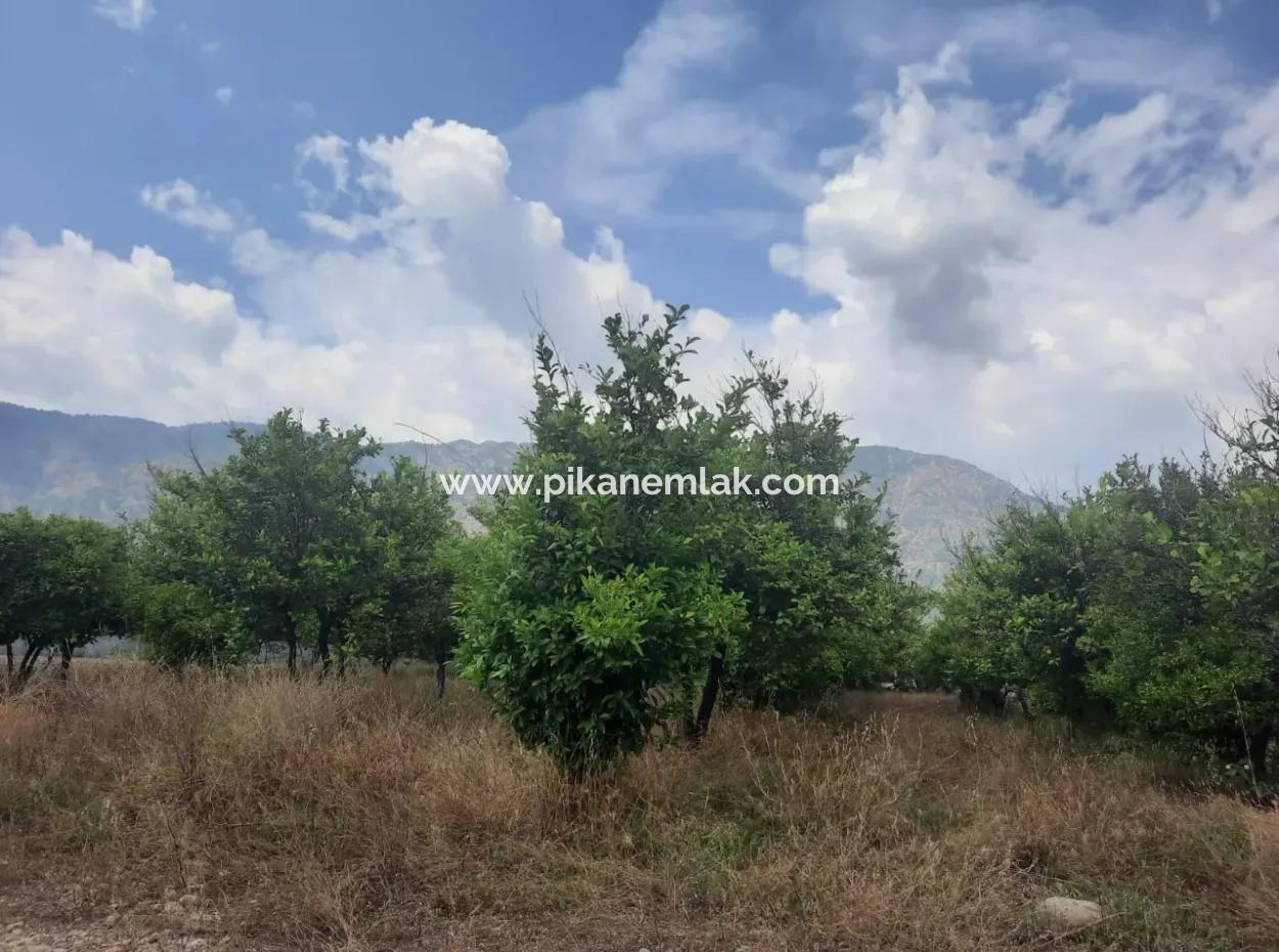 Köyceğiz Toparlar Lake View 2 100 M2 Zoned Land And 2 Houses For Sale