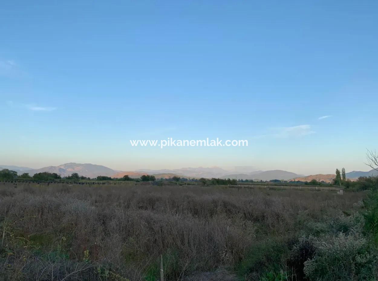26.200 M2 Detached Field And 3.000 M2 For Sale In Ortaca Güzelyurt