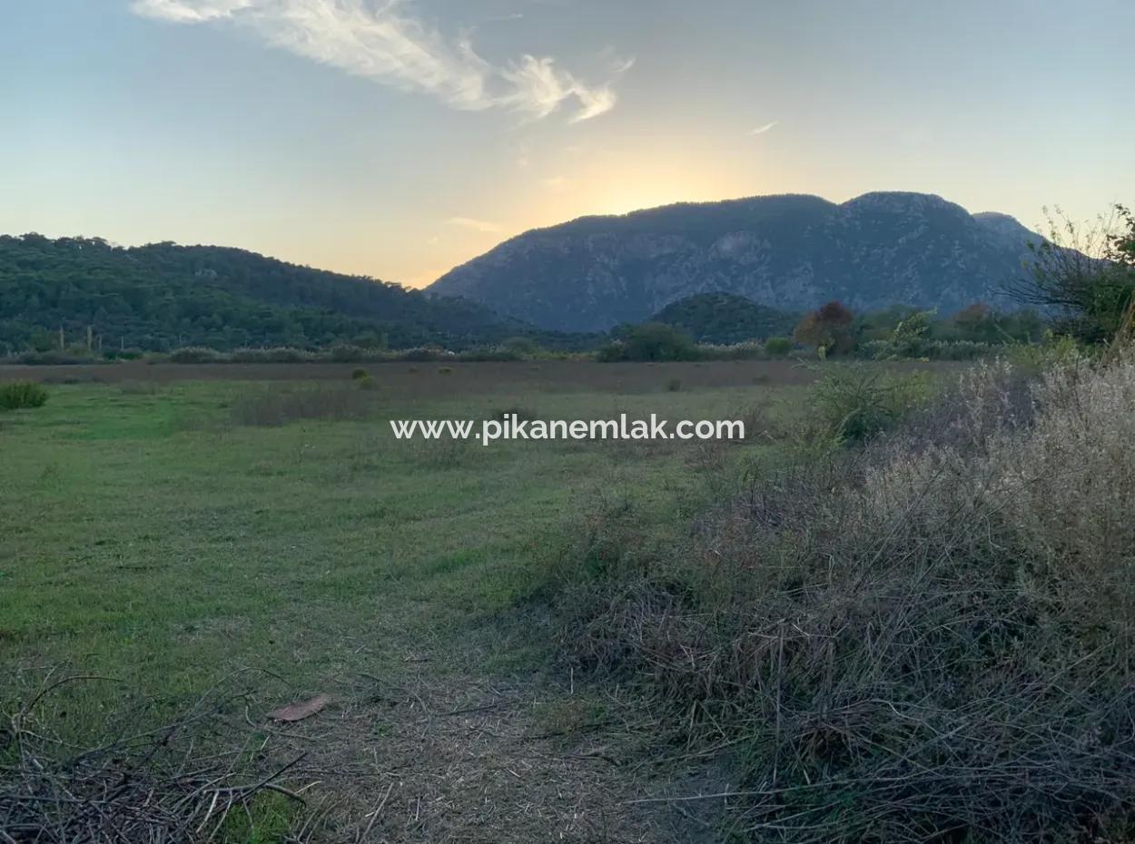 26.200 M2 Detached Field And 3.000 M2 For Sale In Ortaca Güzelyurt