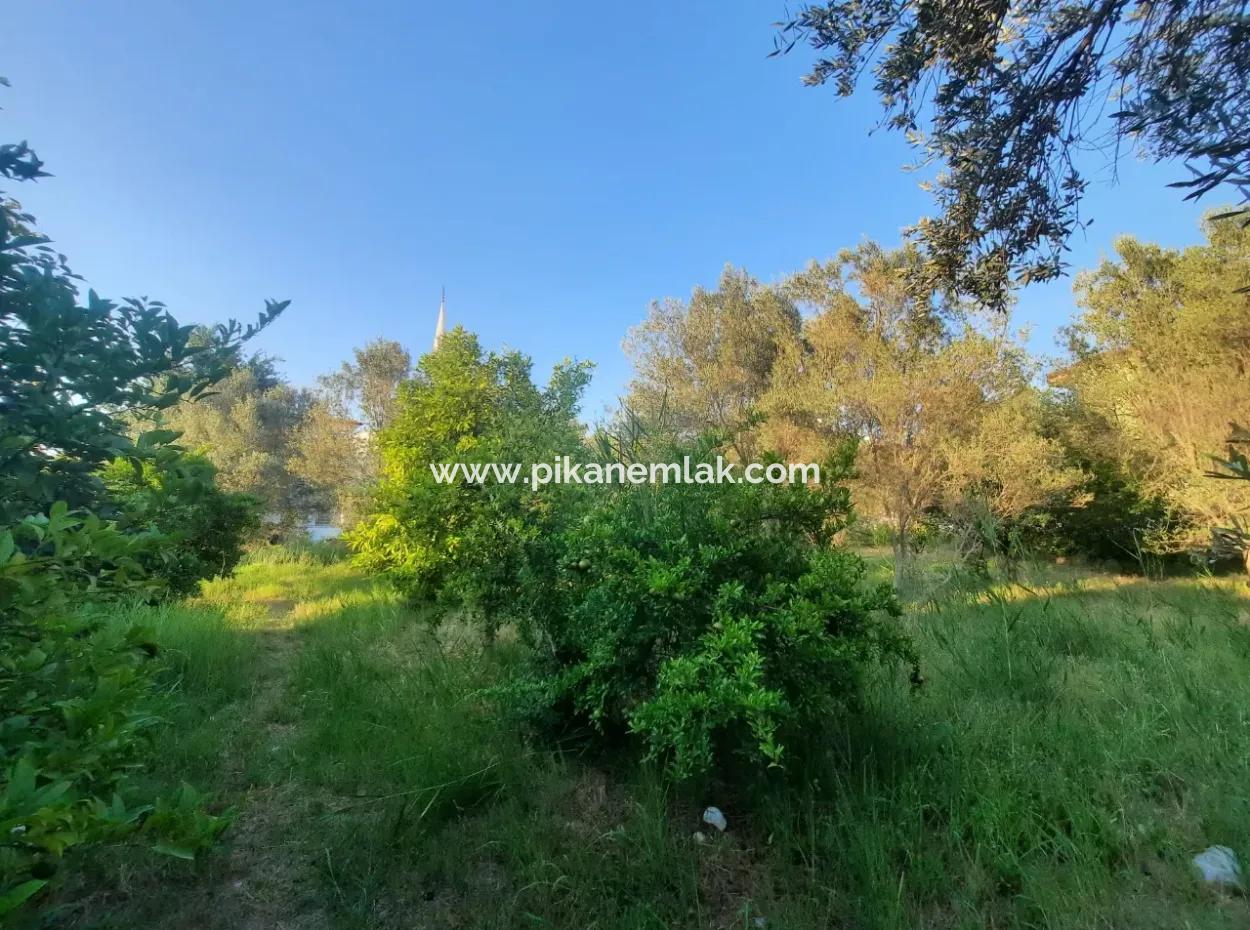 Village House On 1 360 M2 Treasury Land In Dalaman Is For Sale Or Bartered With A Car