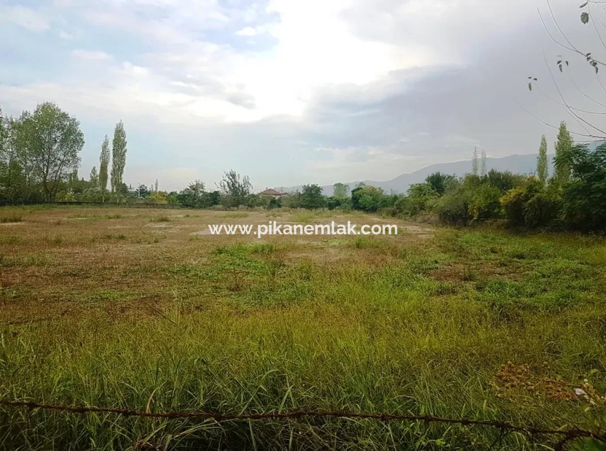 Suitable Land For Investment For Sale In Fire