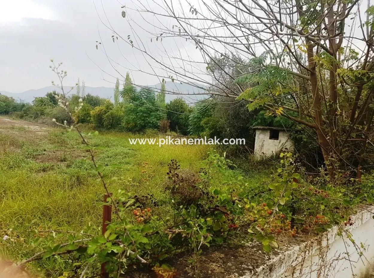 Suitable Land For Investment For Sale In Fire