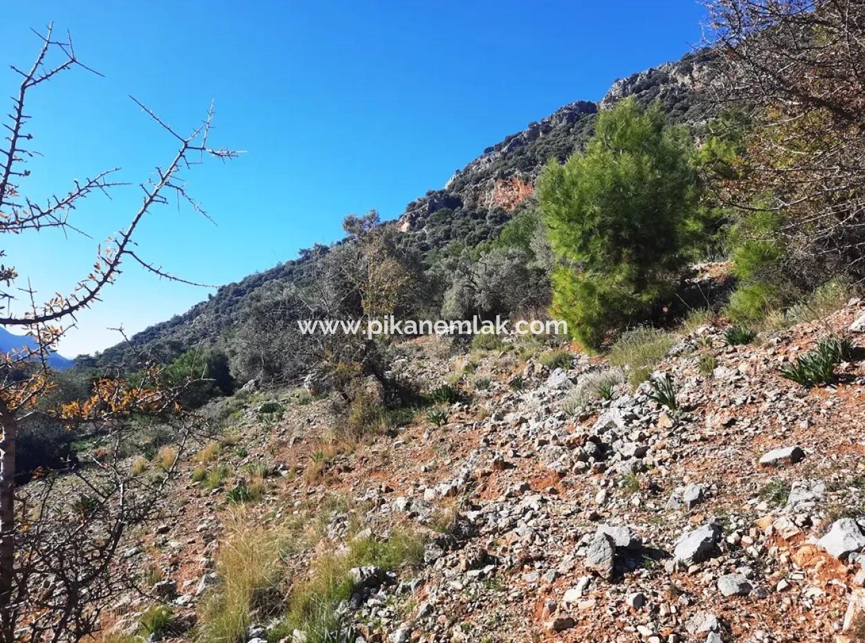 Muğla Ortaca Dalyan Gökbelde 3 100 M2 2B Land Property Right Will Be Transferred