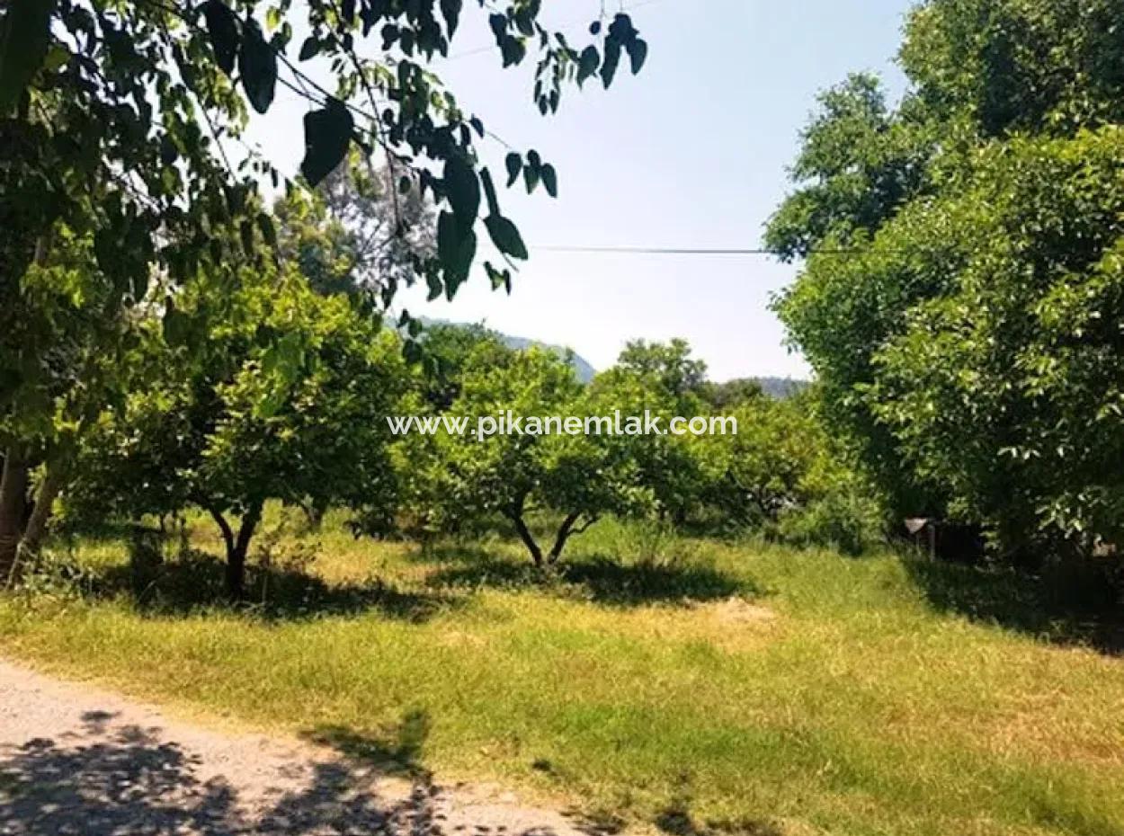 1000 M2 Stake Field For Sale In Ortaca Archers