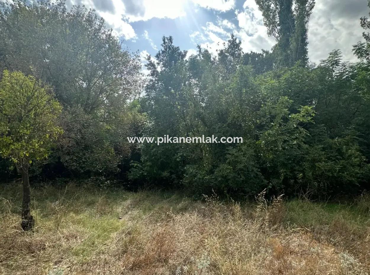 For Sale And In Koycegiz 1026 M2