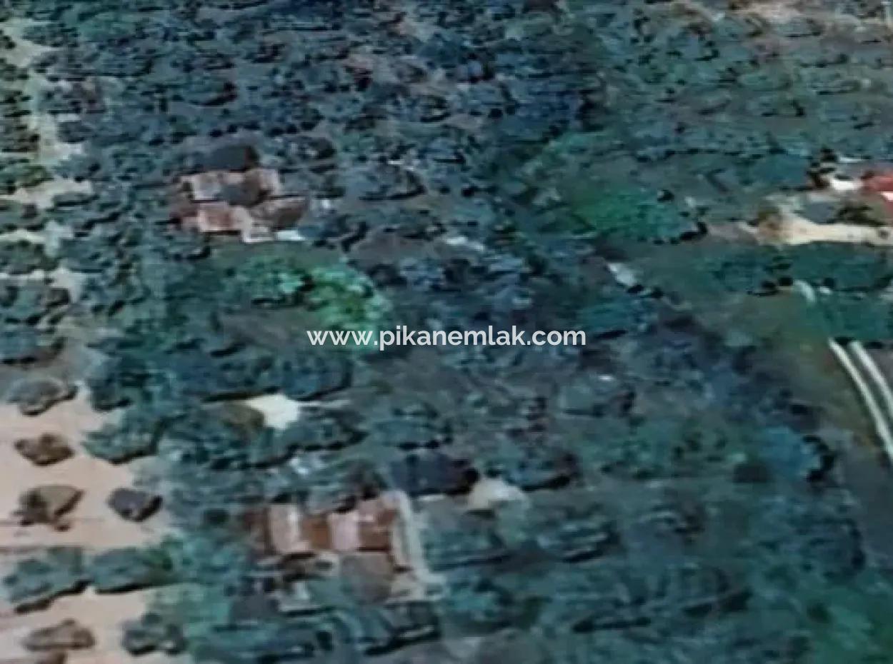 6350 M2 Field For Sale In Muğla Menteşe Kafaca