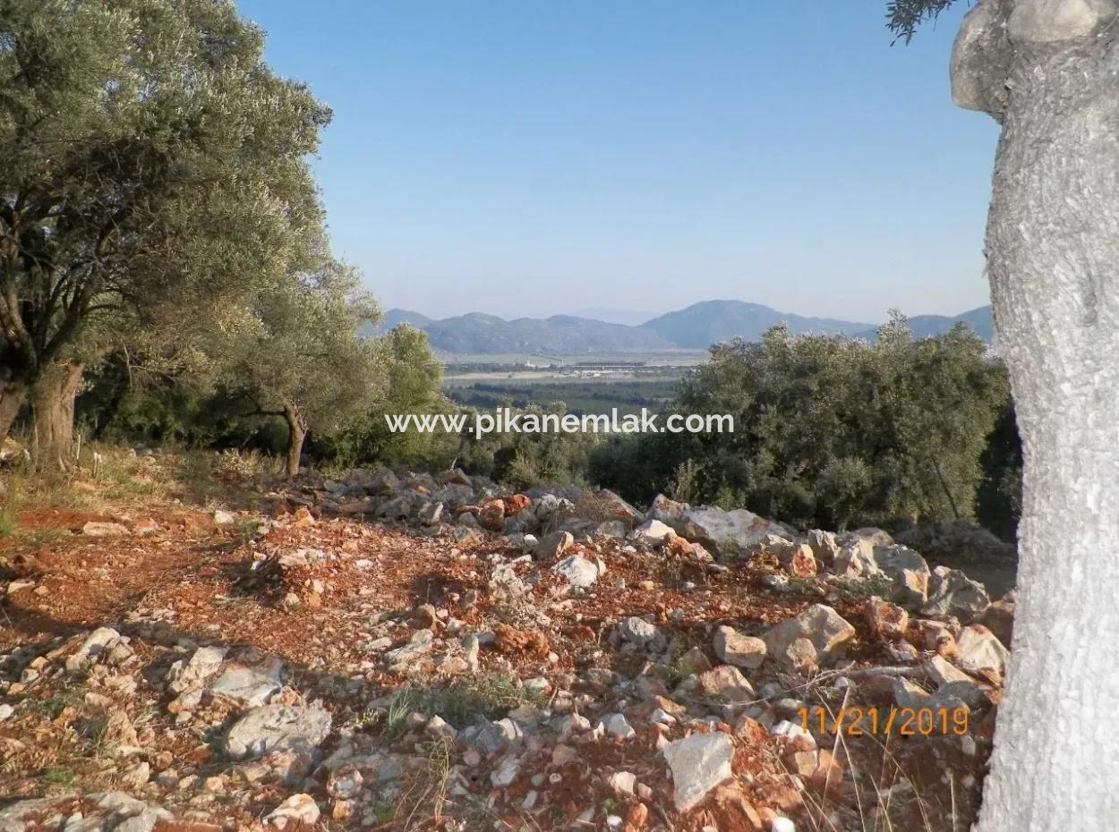Fevziye Land For Sale With Sea View