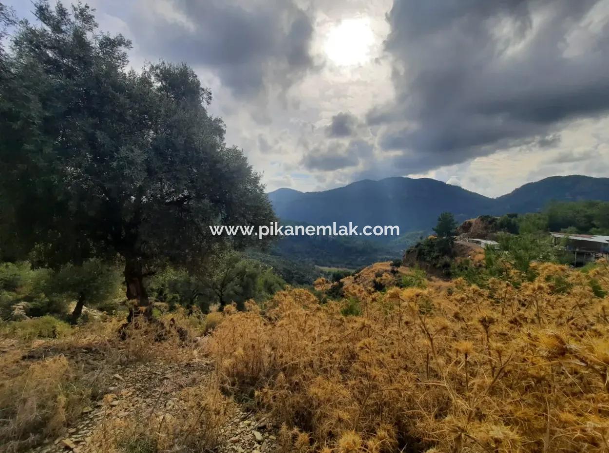 Muğla Dalyan Gökbelde 7 270 M2 Detached Title Deed Sea And Lake View Land For Sale