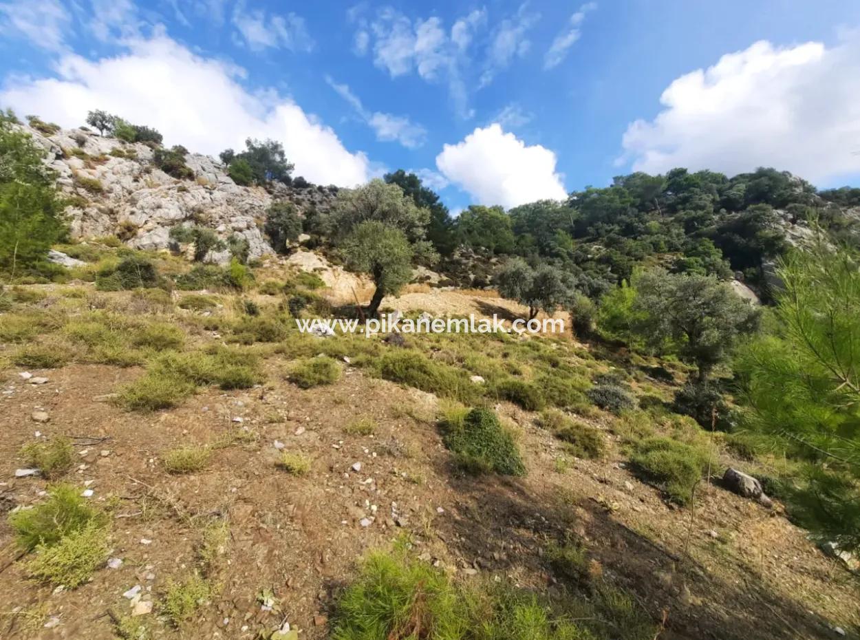 Muğla Dalyan Gökbelde 7 270 M2 Detached Title Deed Sea And Lake View Land For Sale